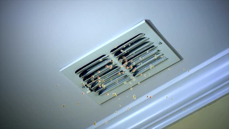Best Professional Duct Cleaning Services  in Judson, SC