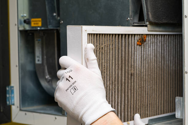 Best Air Duct Mold Removal  in Judson, SC