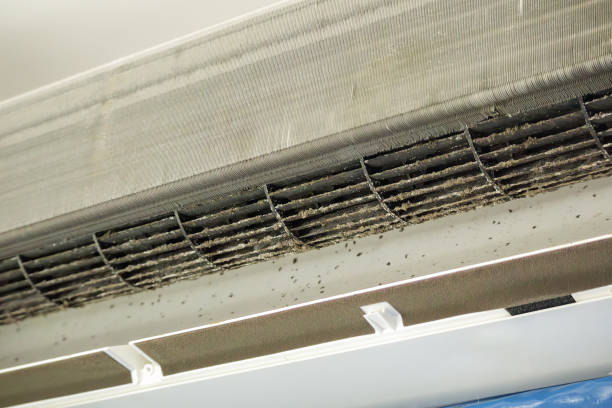 Best Air Duct Cleaning Near Me  in Judson, SC